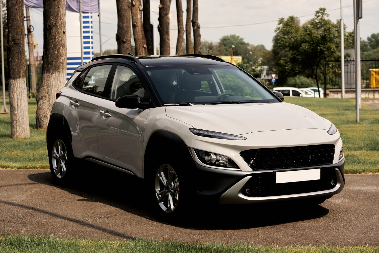 עוקץ הרכבים נחשף: כל אחד עלול להיות הקורבן הבא